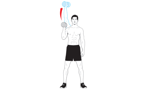 1004-single-arm-shoulder-press-483x300.jpg