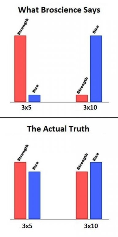 409323137.jpg