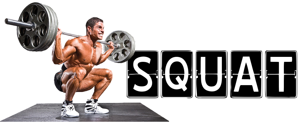 5X5 yazı resim squat.png