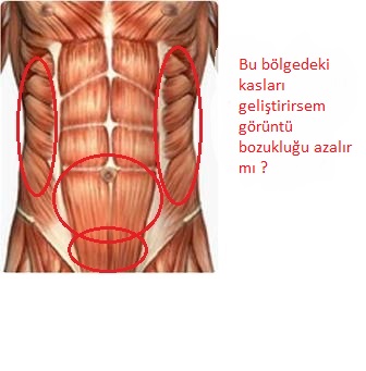 adonis-kasi-nerede.jpg