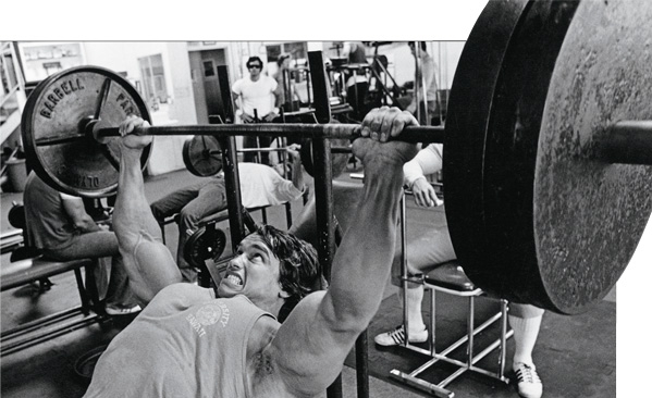 arnold-inclined-bench.jpg