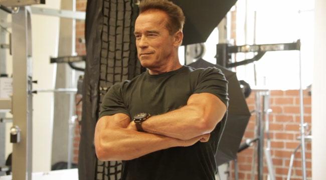 ARnold-teaser_0.jpg