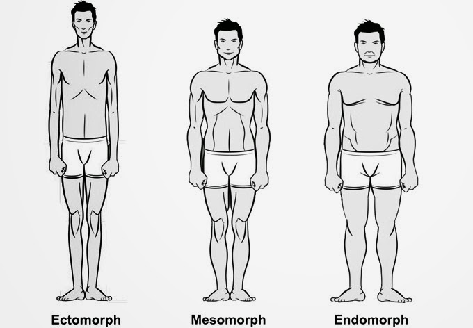 bodytypes.jpg