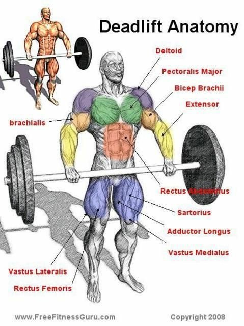 deadlift405704_285409014852886_115404681853321_720611_1611056448_n.jpg