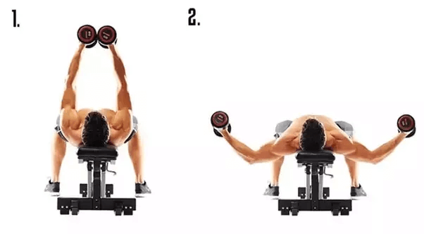 dumbbell-fly.png