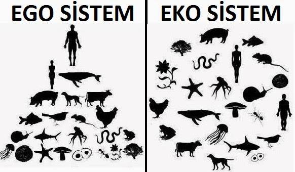 ego.jpg