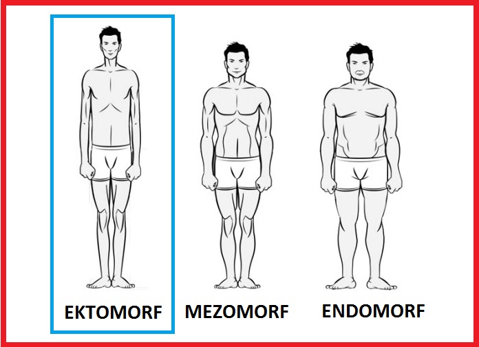 ektomorf-vucut-tipi.jpg