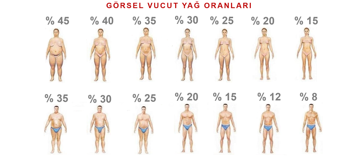 GÖRSEL VÜCUT YAĞ ORANLARI.png