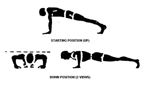 How-To-Do-A-Push-Up1.jpg
