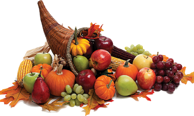 morefood.png