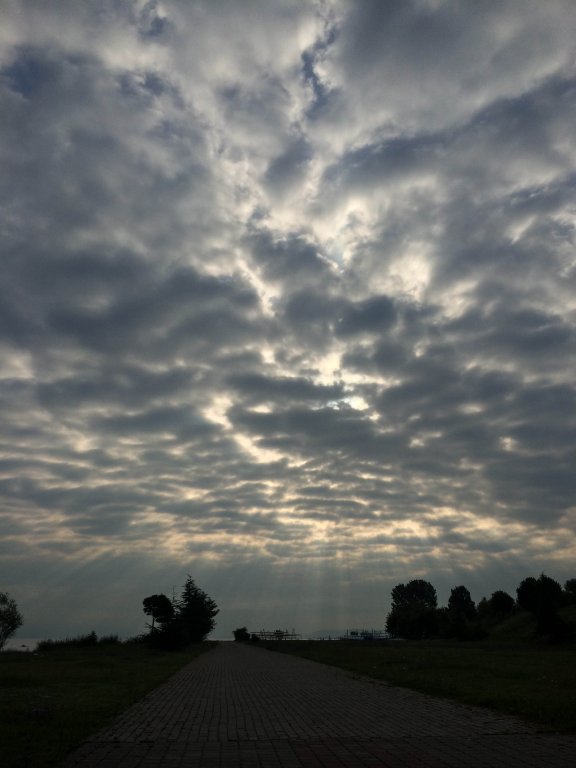 Photo 21.08.2014 08 00 07.jpg