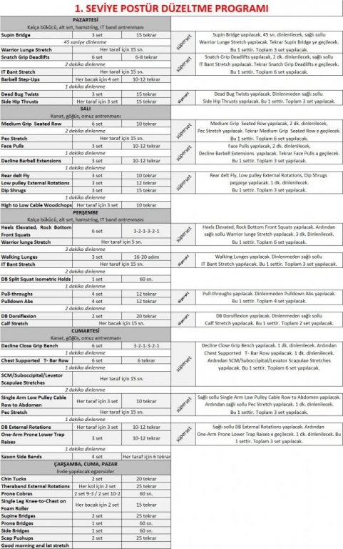 postür program-I (tablo).jpg