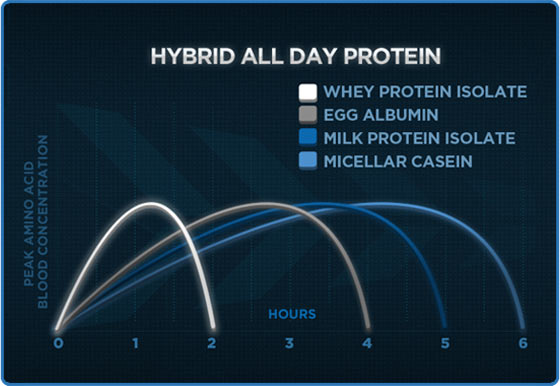 protein-time-jpg.25950