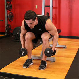 seated bent-over rear delt raise.jpg