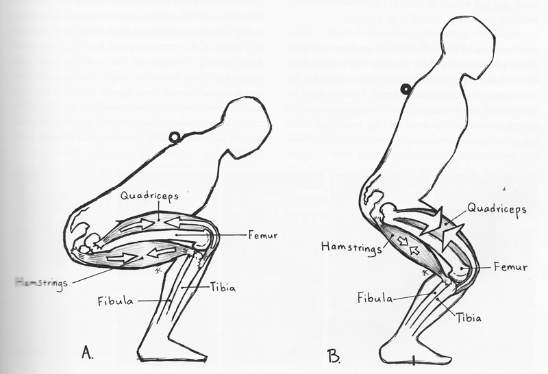 squatdepth.jpg