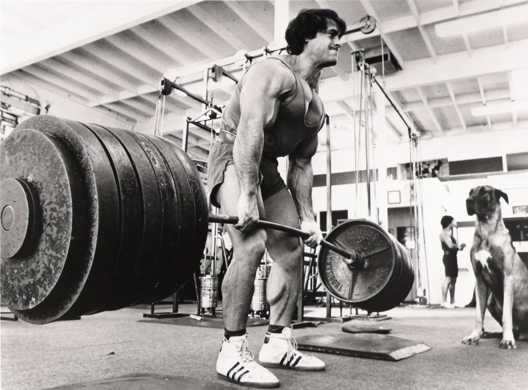 strip_set_franco_columbu.jpg