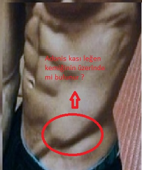 tumblr_mjjqnw6pep1rzuuteo1_500.jpg