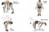 gym-4.JPG