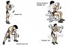 gym-8.JPG