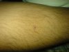 DSC01510 (816 x 612).jpg.jpg