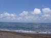 IMG_1345.jpg