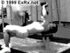 DBPullover.gif