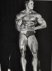 Arnold023.jpg