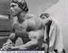 Arnold Schwarzenegger_60575.jpg