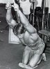 Arnold_Schwarzenegger_491.jpg