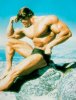 Arnold_Schwarzenegger_566.jpg