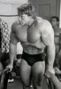 Arnold_Schwarzenegger_599.jpg