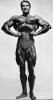 Arnold_Schwarzenegger_677.jpg