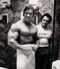 Arnold_Schwarzenegger_962.jpg