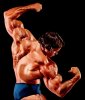 Arnold_Schwarzenegger_1483.jpg