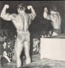 Arnold-ar63.jpg