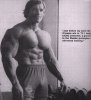 Arnold-ar502.jpg