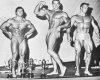 Arnold-NABBA.jpg