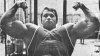 Arnold-Oak_large.jpg