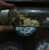 IMG0019A.jpg