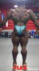 kai_back1.jpg