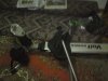 DSC01157.JPG