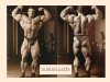 dorian yates.jpg