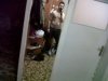 IMG00203-20120408-2219.jpg