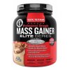 mass_gainer_2-5_lb-222x338-500x500.jpg