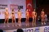 ant15.jpg