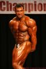 tarek5.jpg