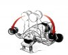 Dumbell flies.jpg