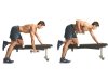 One Arm Dumbbell Rowing.jpg One Arm Dumbbell Rowing.jpg