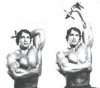 One Arm Dumbbell Extensions.jpg