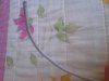 20120911_131350.jpg